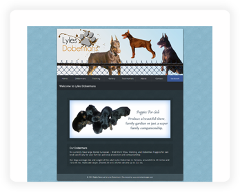 Image of Website Project