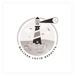 Deliver Lucid Results logo in black and white