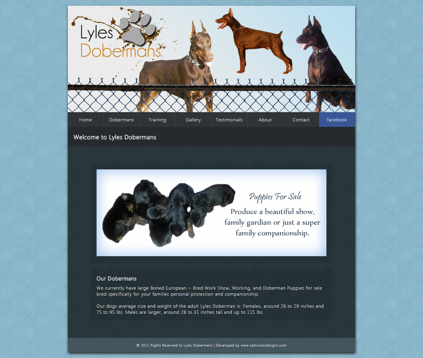 Image of TKerr home page